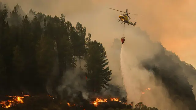 26/08/2025 Un helicóptero suelta agua sobre el fuego, a 26 de agosto de 2025, en Covas, Lugo, Galicia (España). Las condiciones parecen mejorar en la provincia de Lugo, especialmente azotada estos días por la ola de incendios que arrasa Galicia desde hace dos semanas. Así, la Situación 2 ya se ha desactivado en A Pobra do Brollón y el incendio originado en A Fonsagrada se ha dado por estabilizado.
SOCIEDAD
Adrián Irago - Europa Press