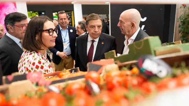 El tomate cherry y el melón, los cultivos más afectados por los cambios que propone Bruselas en el acuerdo con Marruecos