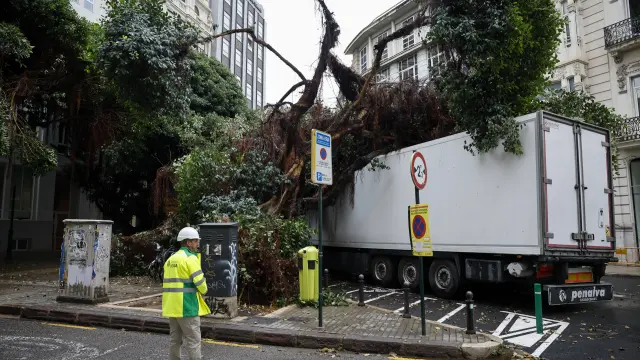 GRAFCVA9731. VALENCIA, 10/10/2025.- Vista general del árbol caído en pleno centro de la ciudad a causa del temporal de lluvias este viernes en el que la Agencia Estatal de Meteorología (Aemet) ha establecido el aviso nivel rojo en el litoral sur de Alicante, naranja en el litoral de Valencia y su interior sur y el litoral norte de Alicante, y amarillo en el litoral de Castellón, interior norte de Valencia e interior de Alicante. EFE/Biel Aliño