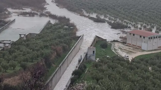 06/02/2026 El desembalse de agua desde el pantano de Vadomojón y las intensas lluvias están anegando los olivares del entorno en Albendín, Baena.
ANDALUCÍA ESPAÑA EUROPA CÓRDOBA SOCIEDAD
JOSÉ LUIS FM-AYUNTAMIENTO DE BAENA
