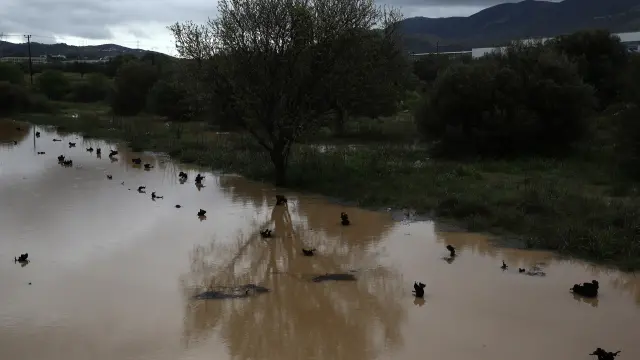 ATHENS (Greece), 02/04/2026.- A vineyard flooded following storm 'Erminio' in Kalyvia Thorikou, near Athens, Greece, 02 April 2026. Storm 'Erminio' has caused widespread destruction across several regions of Greece, including the Attica region, where a man lost his life in Nea Makri. (tormenta, Grecia, Atenas) EFE/EPA/YANNIS KOLESIDIS
