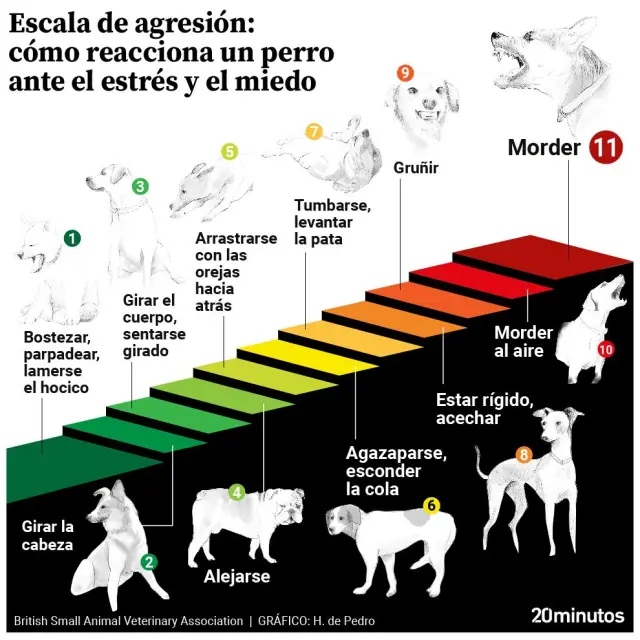 cómo detener el comportamiento agresivo del perro.