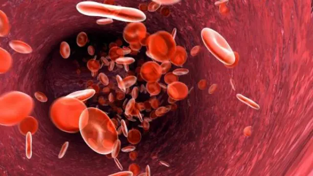 Representación de nuestras células sanguíneas.