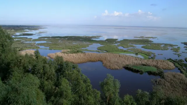 Marismas del Parque Nacional de Doñana