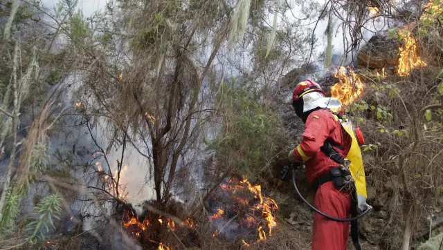 Efectivos de la UME en labores de extinción del incendio forestal que afecta a la isla de Tenerife