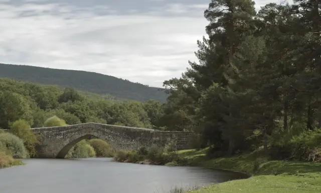 Puente Soria (Covaleda)