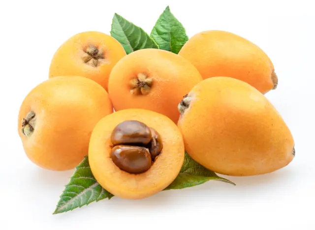 Nísperos naturales