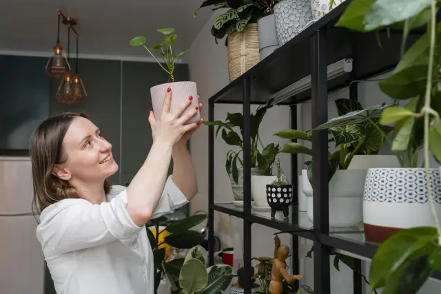 Mujer con una maceta con una planta en su casa