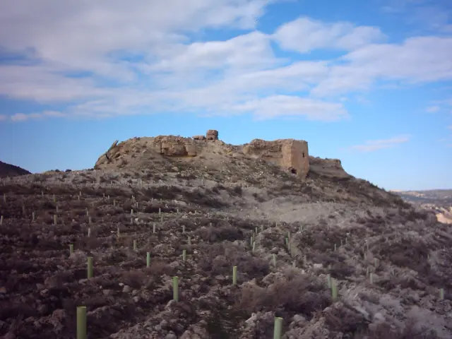 Castillo de Benzalema