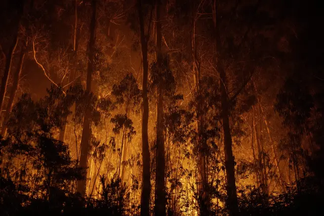 Vista nocturna del incendio forestal que permanece activo este jueves en As Neves (Pontevedra).
