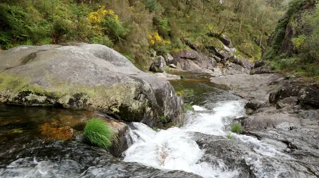 Río Pedras.