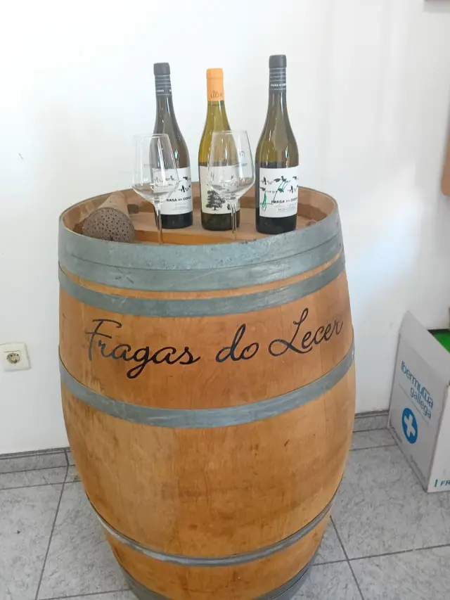 Botellas de vino Denominación de Origen Monterrei.