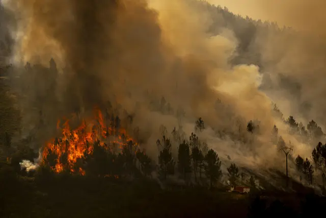 Vista del incendio que se registra en los alrededores de Maceda (Ourense) este domingo.