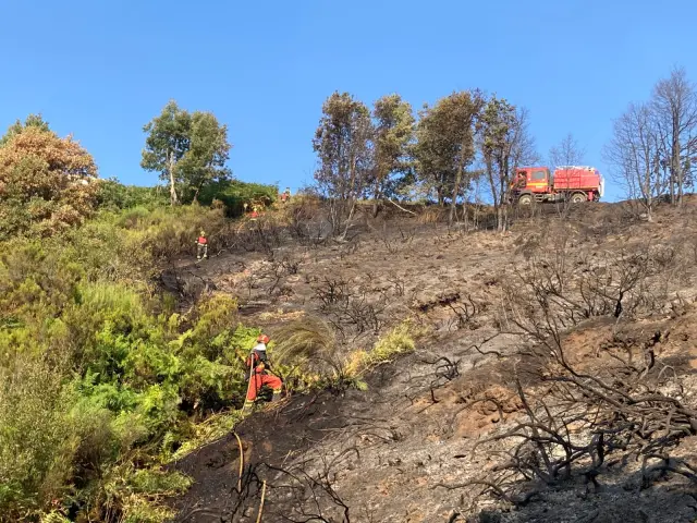 Efectivos de la UME trabajan en el control de una reproducción del fuego de Anllares del Sil.