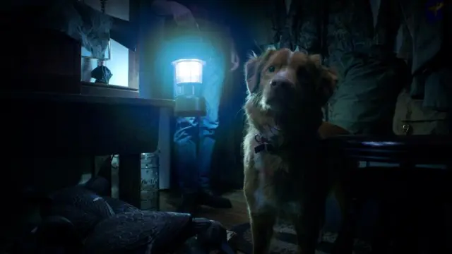 Indy, protagonista de la película 'Good Boy'