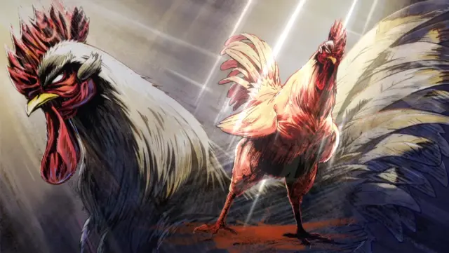 El gallo Keiji en 'Rooster Fighter'