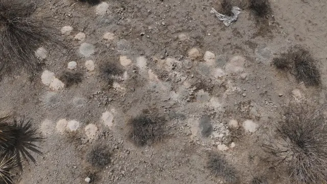 Imagen de los montones abandonados en el desierto.