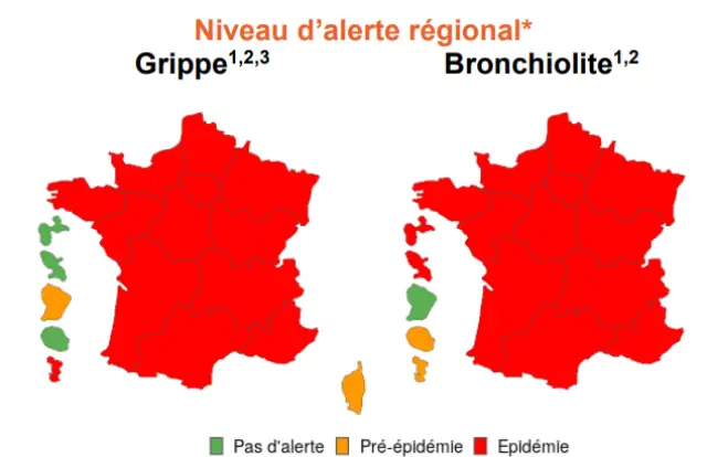 Francia entera en plena epidemia de gripe