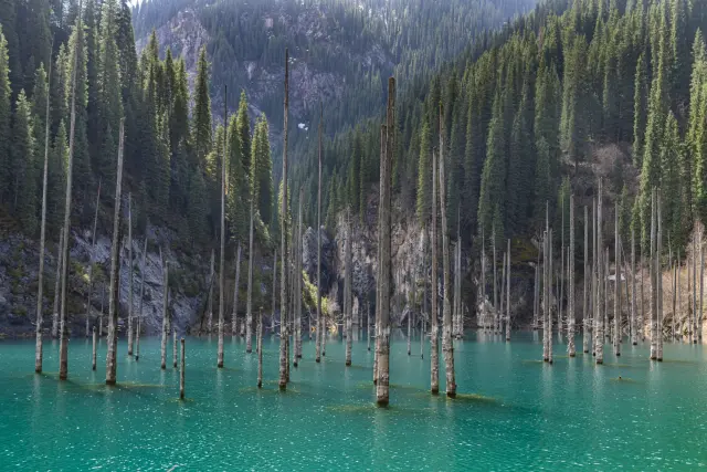 Un potente terremoto en 1911 provocó un deslizamiento de tierra y sumergió bajo el agua el bosque que allí se encontraba. Los troncos de los abetos quedaron sumergidos, pero se han conservado muy bien, provocando una imagen fantasmagórica.