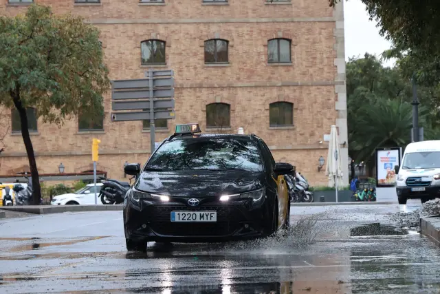 Temporal de lluvia y viento en Barcelona, con olas en las playas de la ciudad, sacos de arena con diques, surferos y gaviotas aprovechando el viento de la levantada