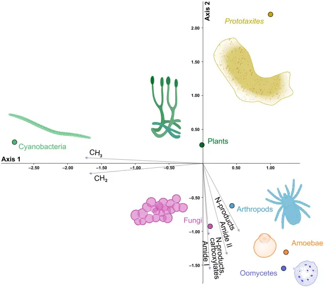 Los prototaxites eran, hace 400 millones de años, una forma de vida original.
