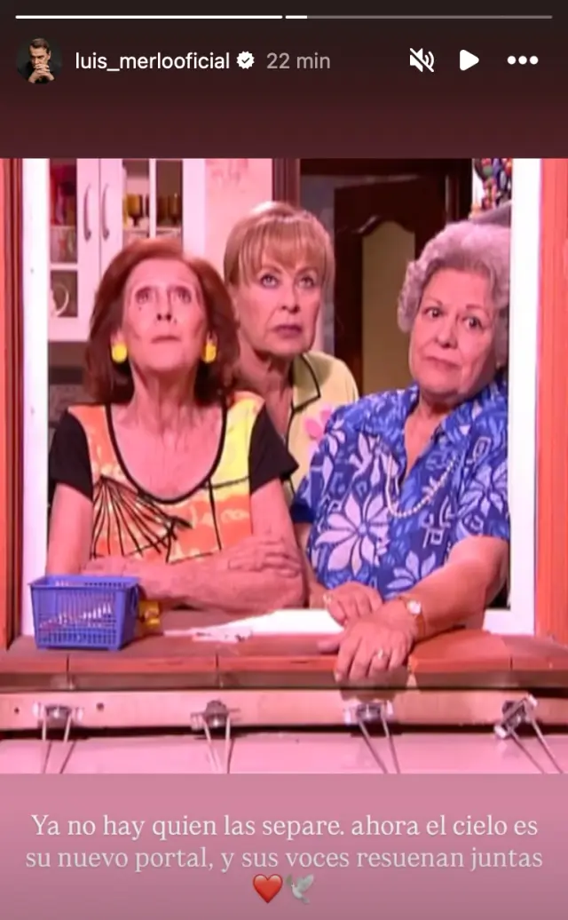 Historia de Instagram de Luis Merlo.