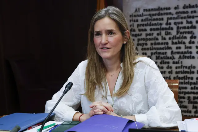 MADRID (ESPAÑA), 23/03/2026.- La vicepresidenta tercera del Gobierno y ministra para la Transición Ecológica, Sara Aagesen, comparece este lunes ante la Comisión de Investigación del Senado sobre la interrupción del suministro eléctrico y de la comunicaciones del 28 abril. EFE/JJ Guillén