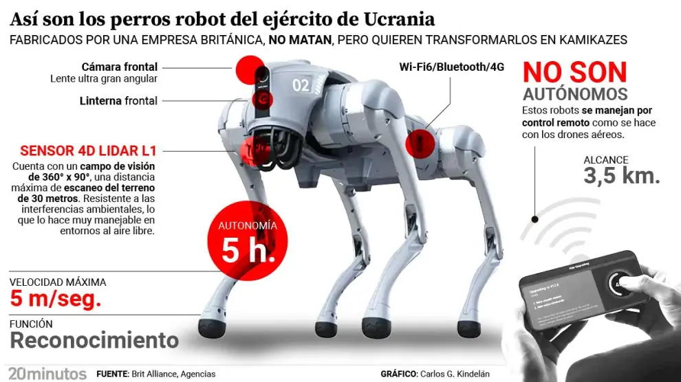 los perros contraen moscas bot