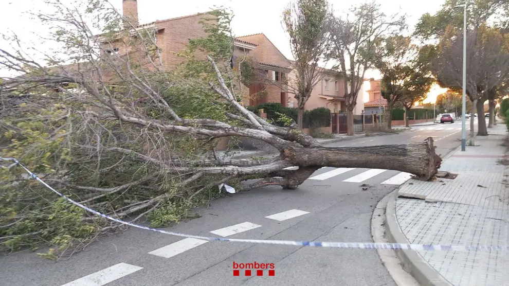 Atrapados dos horas unos 150 pasajeros de un tren al caer un árbol en la vía en Tarragona