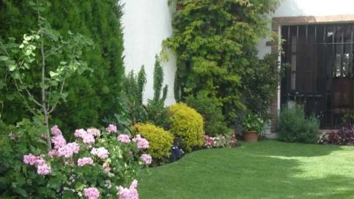 Convierte tu patio en un jardín