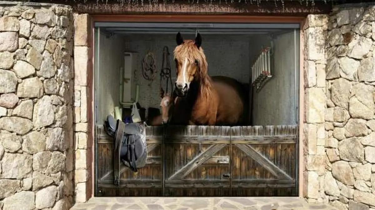 El garaje, algo más que un lugar para guardar nuestro coche