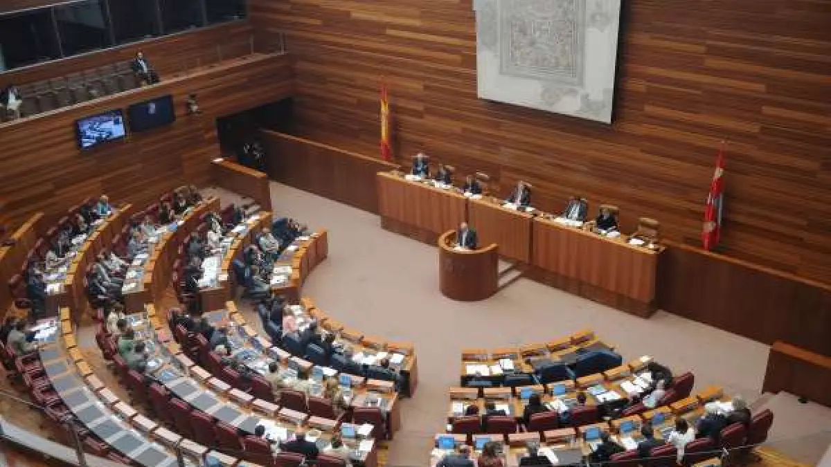 Las Cortes aprobarán el miércoles la Ley de Creación del Colegio