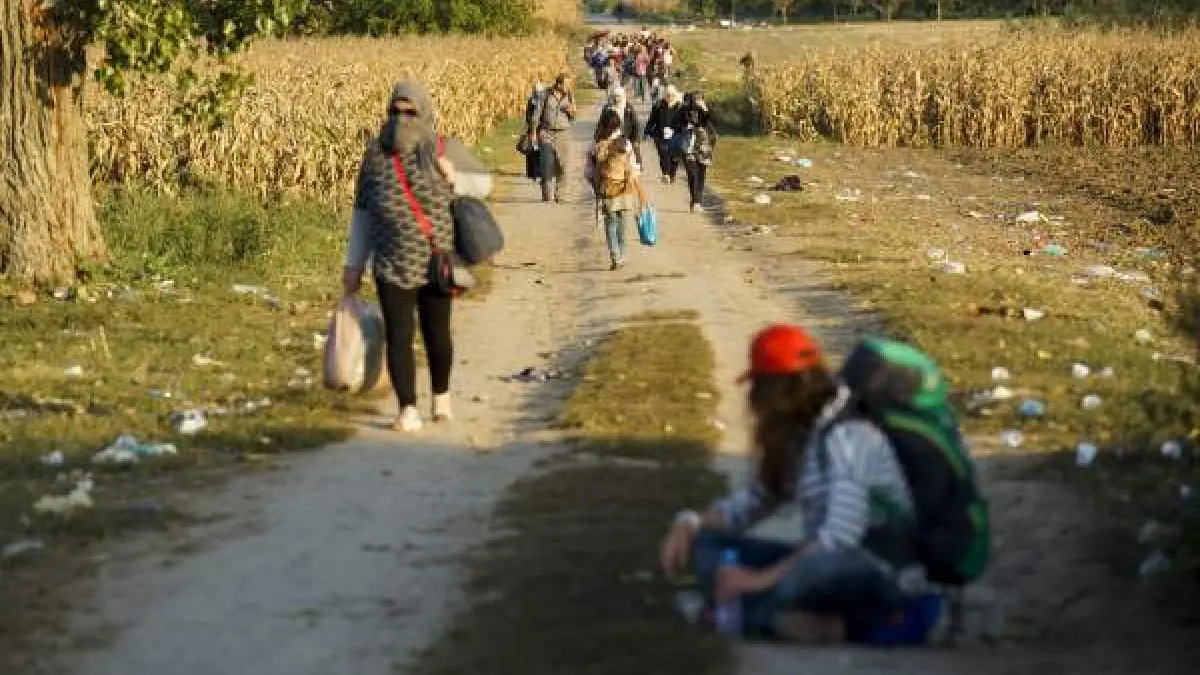Cerca de 1,5 millones de refugiados podrían llegar a Alemania en 2015