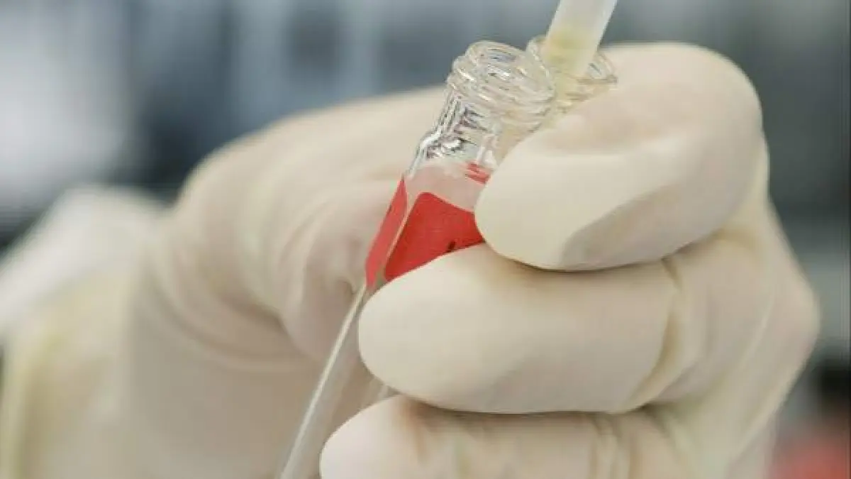 Un medicamento que funciona contra el dengue es eficaz en el virus del zika