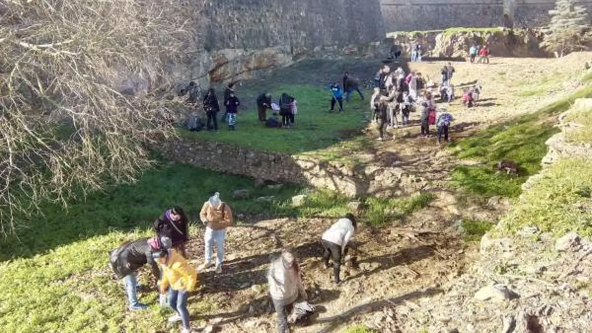 Piden la retirada de los árboles plantados por Ecologistas