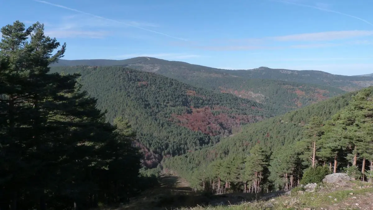 El Parque Natural Sierra de Cebollera programa este sábado un paseo guiado por la Dehesa de