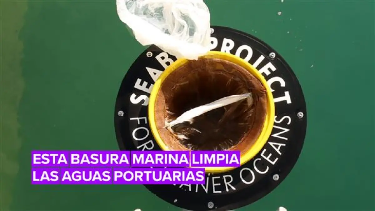 El proyecto Seabin podría salvar el océano Catamarca Provincia