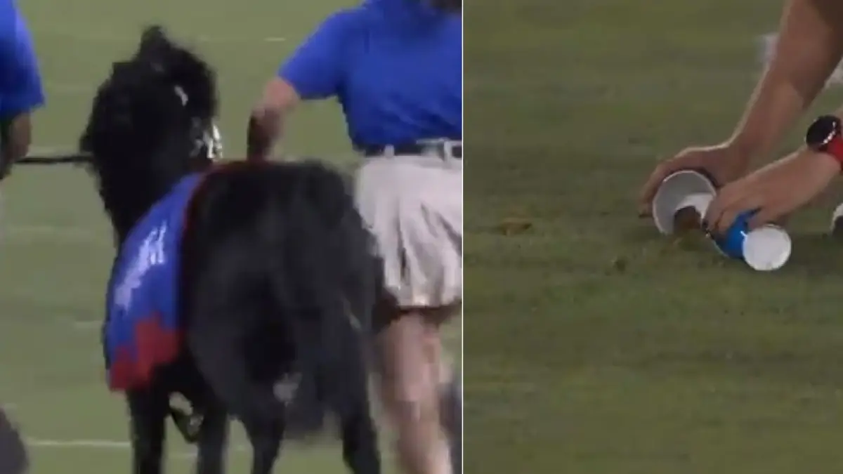 La mascota de un equipo de fútbol americano ‘siembra’ el terreno de juego con sus excrementos y obliga a retrasar el partido