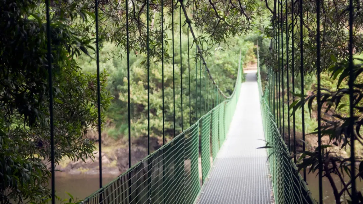 Puente colgante sobre el río Tambre con vistas a la central y la naturaleza