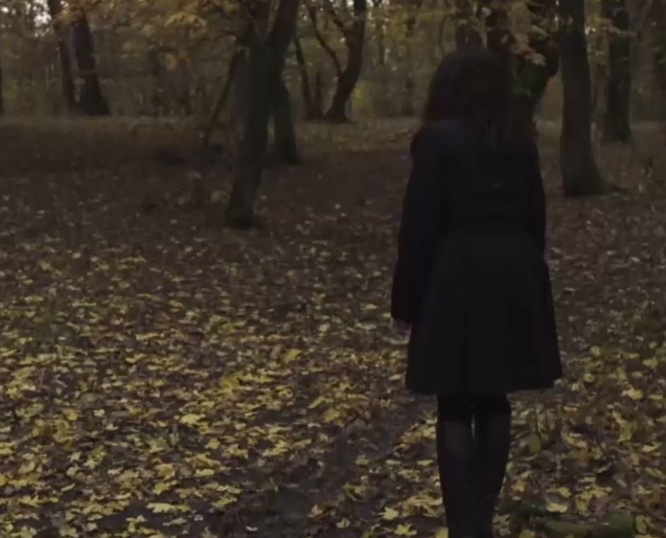 Ocurren fenómenos paranormales en el bosque más encantado del país, Hoia Baciu en Transilvania.