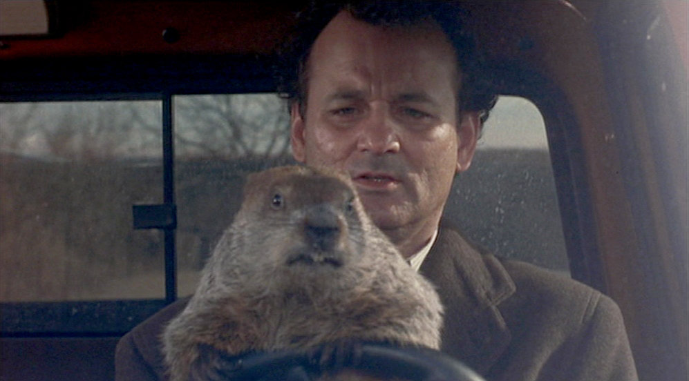 Bill Murray y la marmota Phil en 'Atrapado en el tiempo'.