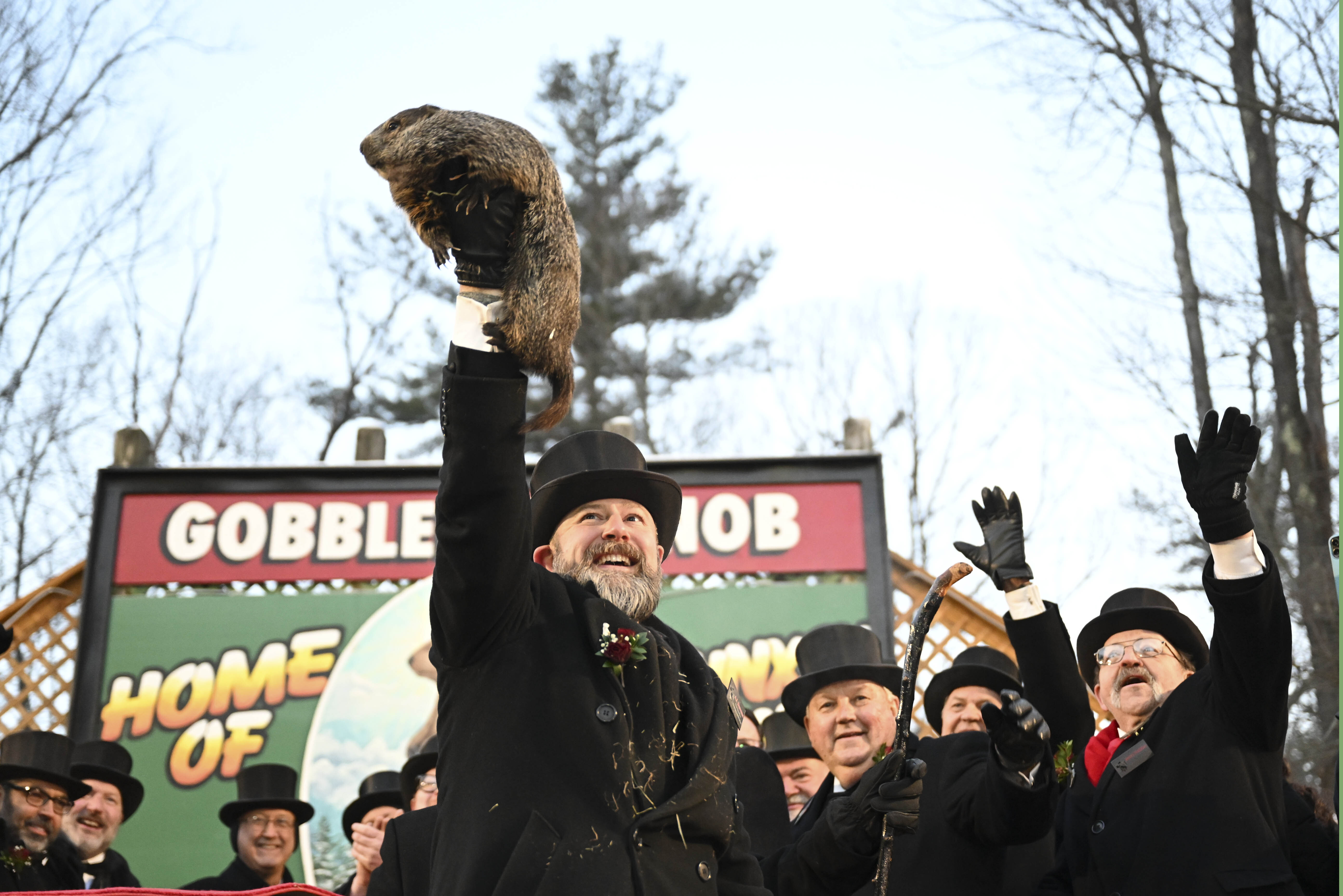 Cada Día de la Marmota, al terminar su hibernación, sale de su madriguera en la localidad de Punxsutawney y le pone fecha al final del invierno y el comienzo de la primavera. Los miembros del Groundhog Club son los encargados de sacar al roedor de su madriguera, ubicada en Globbler's Knob.