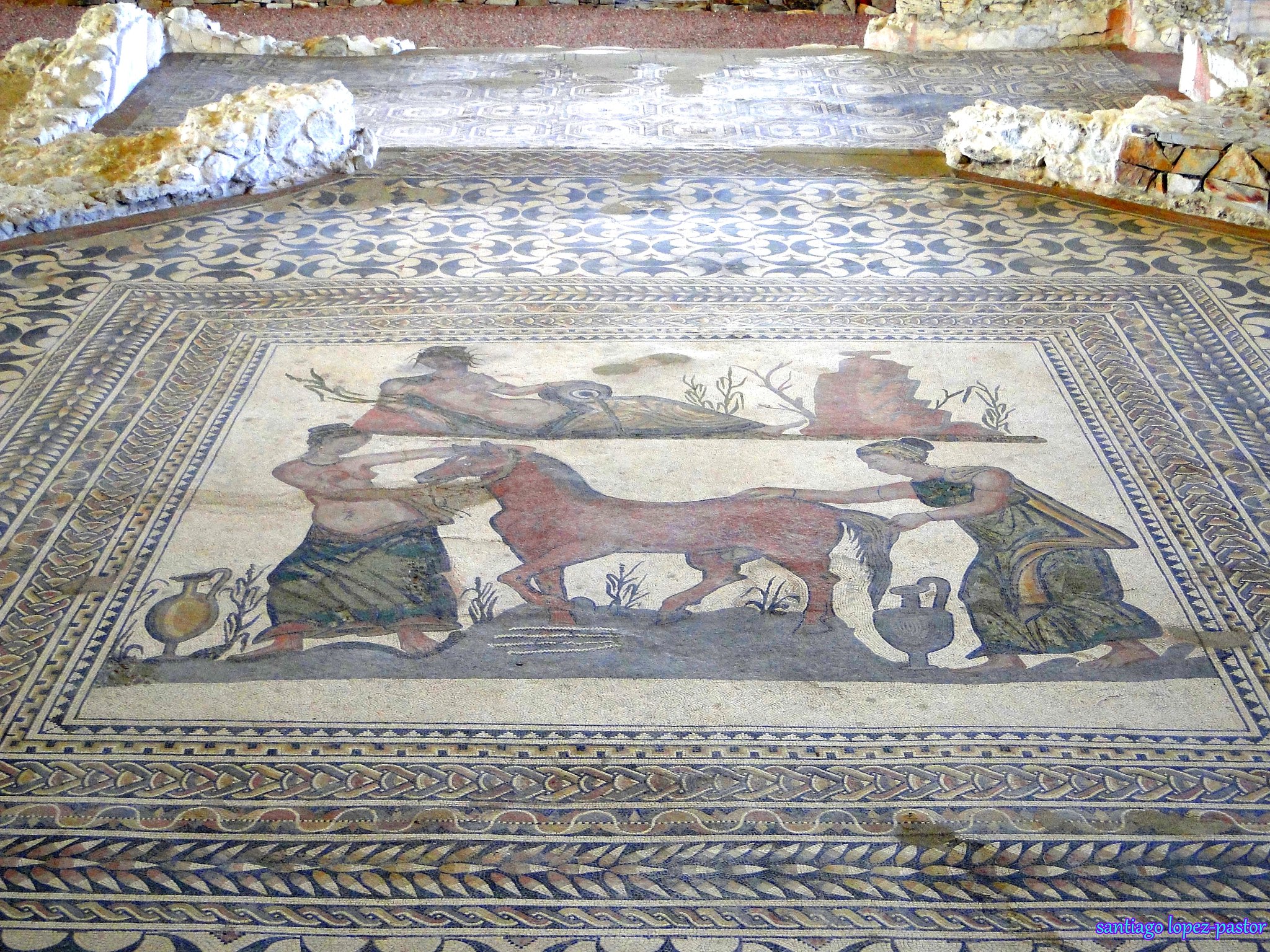 Mosaicos de la villa de Almenara-Puras (Valladolid).