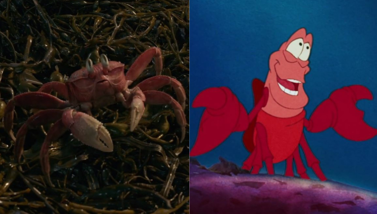 The real action Sebastián and the animated