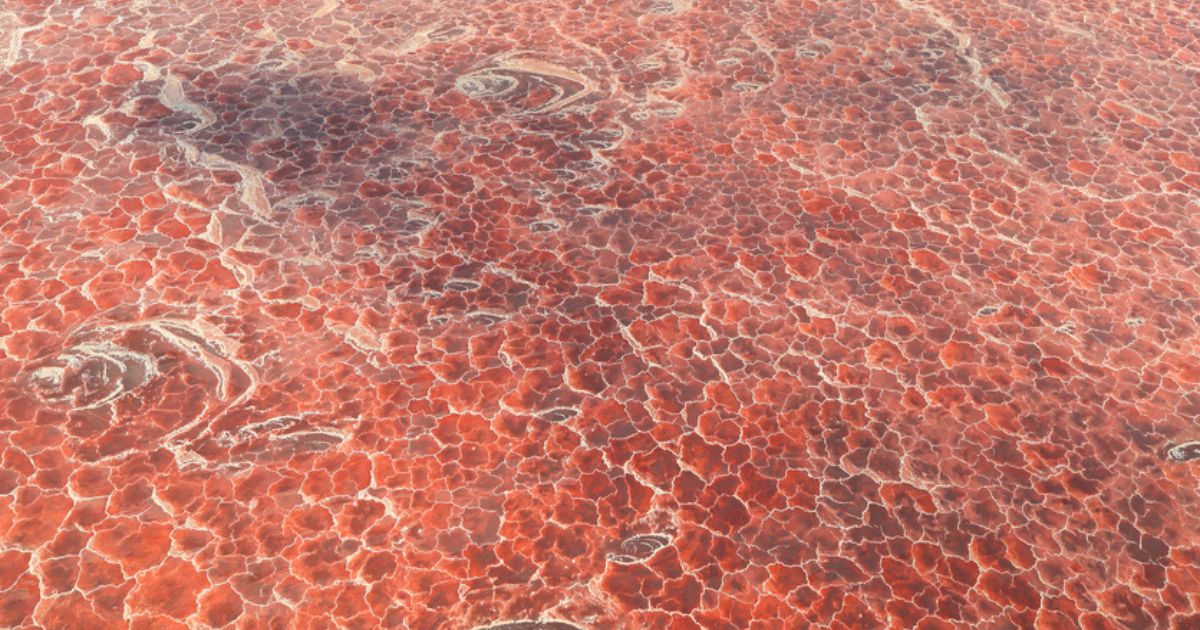 Salinas lago Natron, Tanzania