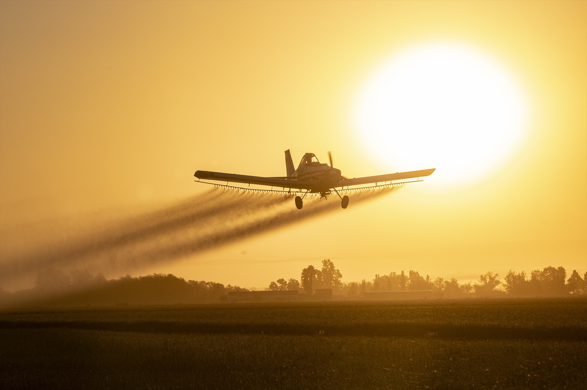 Imagen de archivo de una avioneta.