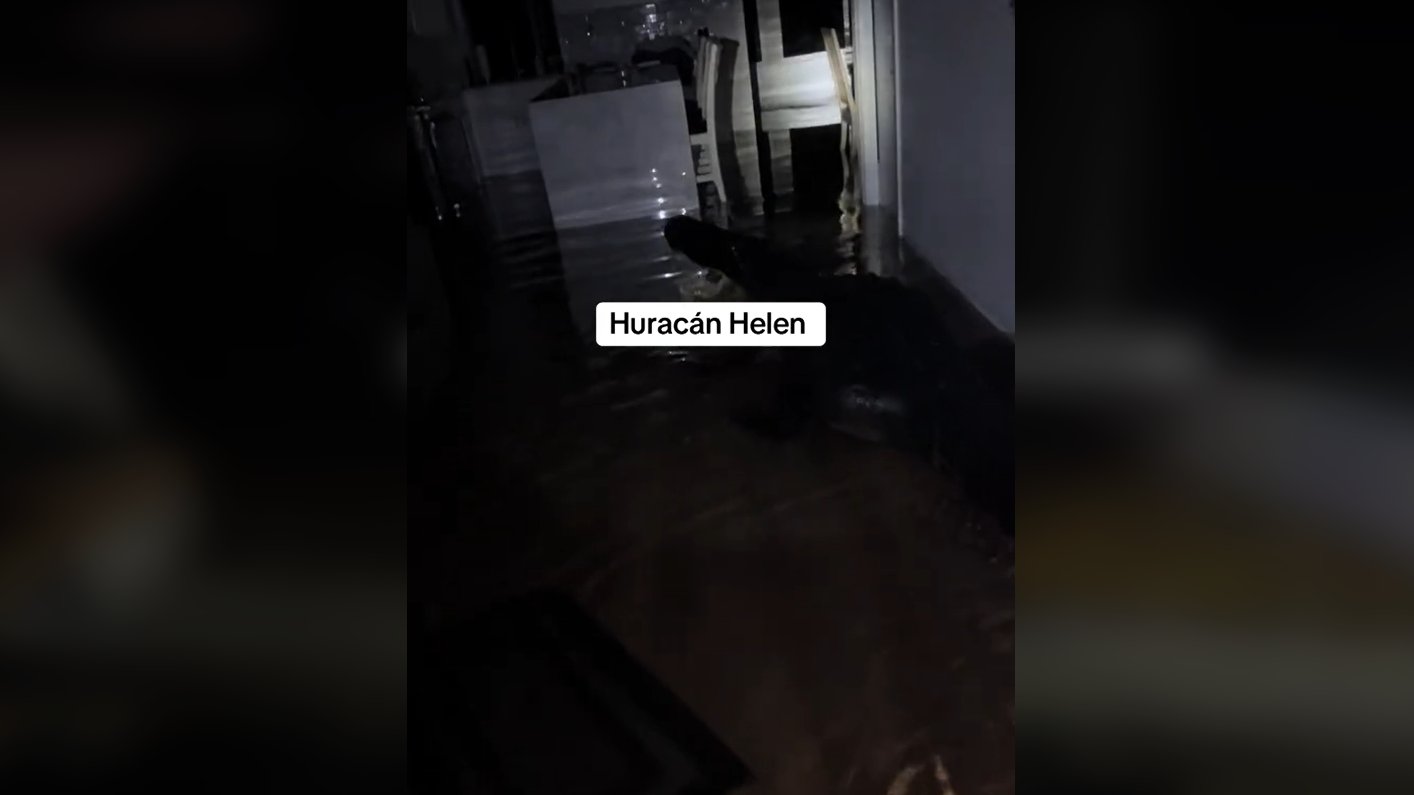 El cocodrilo estaba en el salón.