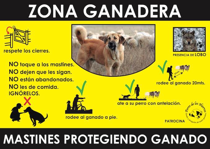 Livestock area sign.