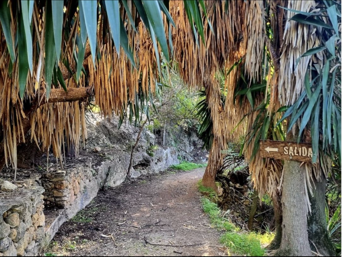 Bosque Encantado de Cañada Verde en la Sierra de Hornachuelos (Córdoba)