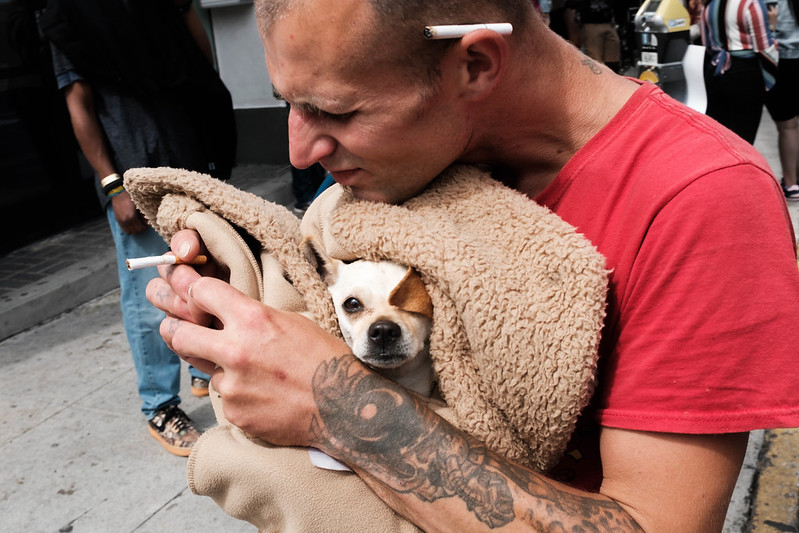 El humo de tercera mano es el tipo de humo más peligroso para los animales de familia, ya que es el que se deposita en superficies como alfombras, muebles, e incluso en el pelo de los propios animales, que al lamerse, ingieren las toxinas.